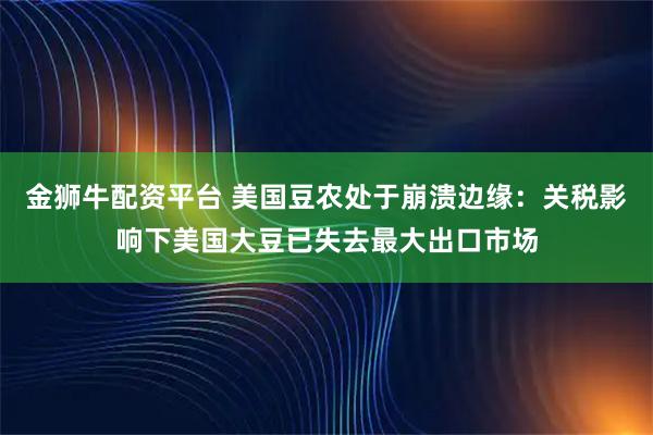 金狮牛配资平台 美国豆农处于崩溃边缘：关税影响下美国大豆已失去最大出口市场